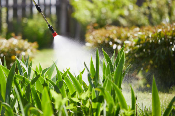 24/7 Emergency Fumigation Services experts in Ferndale, PA