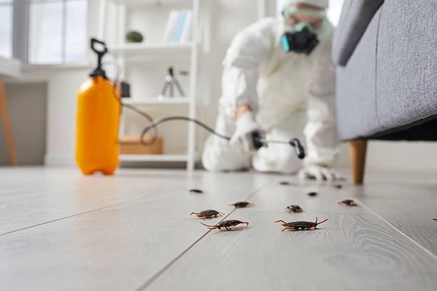 Trusted Termite Control service in Ferndale, PA - Nex Pest Control