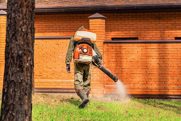 Trusted Bed Bug Control service in Ferndale, PA - Nex Pest Control